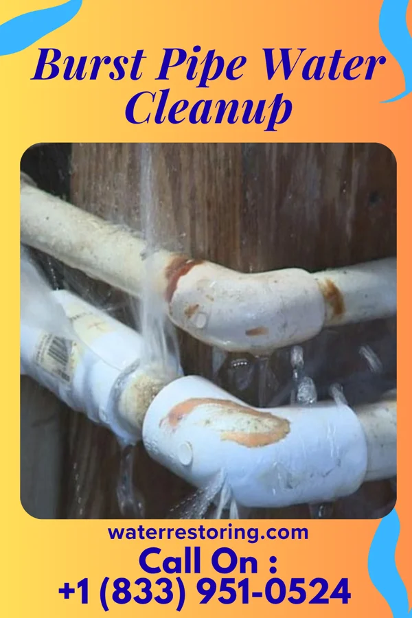 Burst Pipe Water Cleanup in Savona, NY