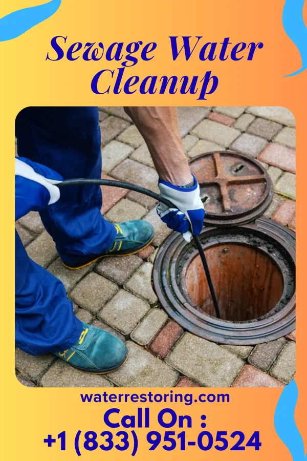 Sewage Water Cleanup in Savona, NY