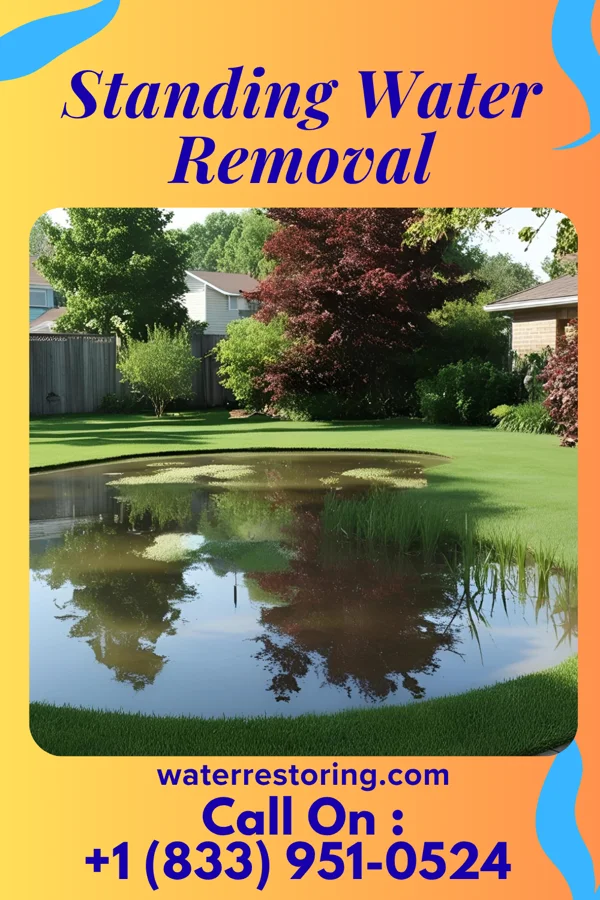 Standing Water Removal in Savona, NY